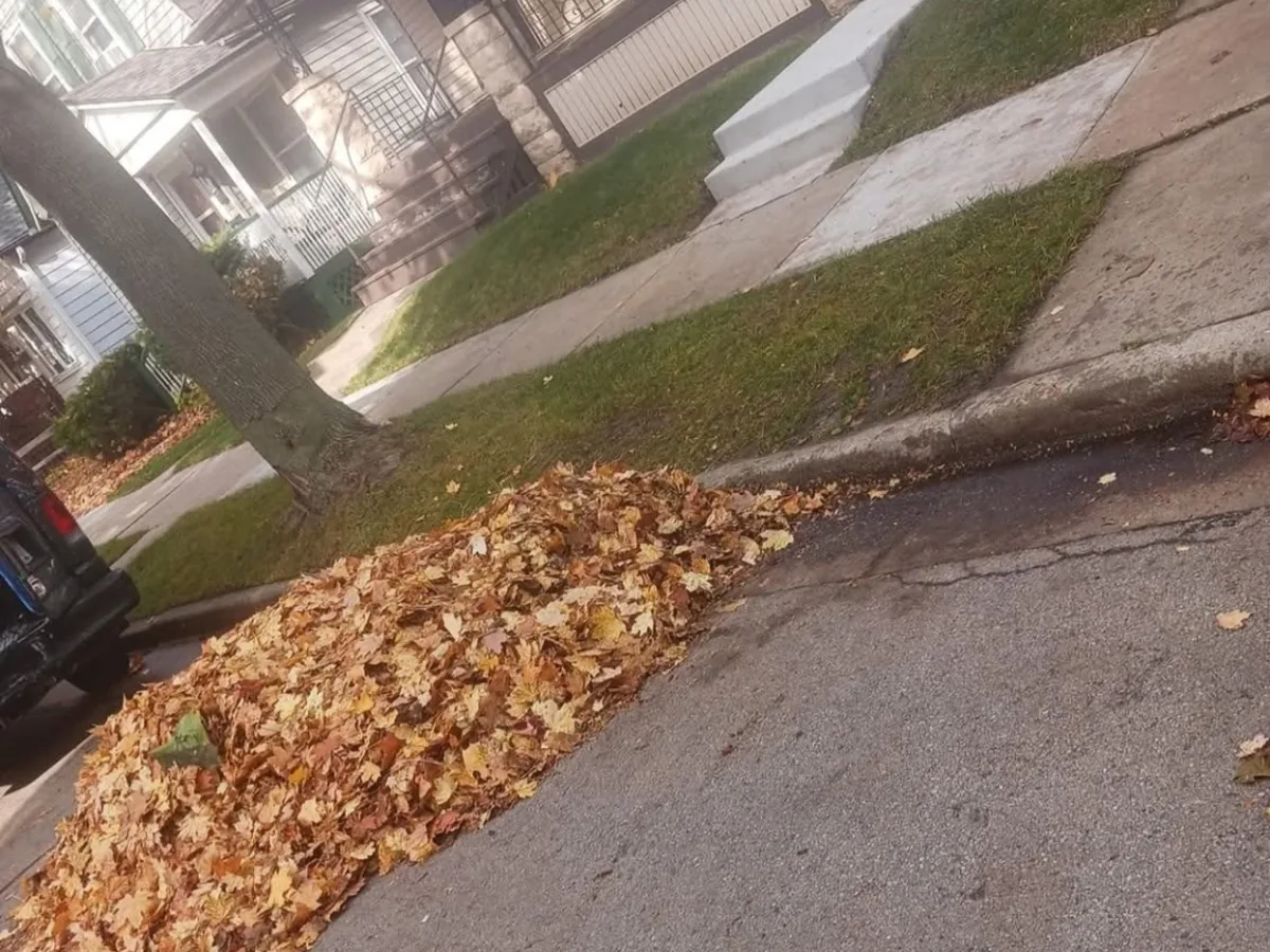 Leaves raked into a pile along the street curb
