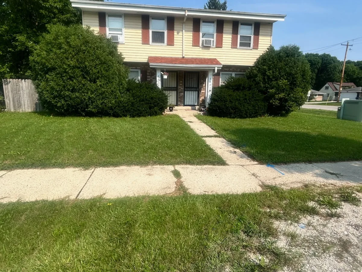 Freshly mowed lawn with trimmed rounded shrubs